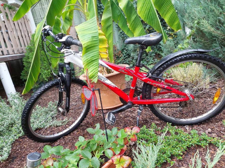 X-FACT MOTUL Mountain Bike 24" elöl teleszkópos használt ELADÓ