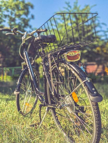 SPRINT ELEGANCE City / Cruiser / Urban V-brake used For Sale