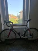 PINARELLO Prince Road bike used For Sale