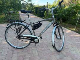 GEPIDA Reptila 1100 City / Cruiser / Urban V-brake used For Sale