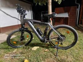 GENESIS E-Pro MTB 2.3 29