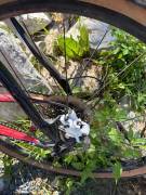 WILIER egyedi épített Gravel / CX disc brake used For Sale