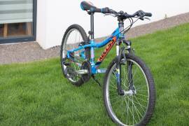 KELLYS Kellys Kiter 24