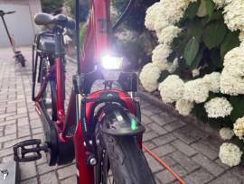 TRIUMPH 2022 Electric City / Cruiser / Urban Bosch used For Sale