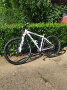 FOCUS BLACK FOREST Mountain Bike 29" front suspension Shimano Deore XT used For Sale