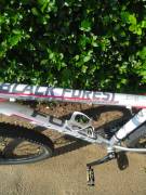 FOCUS BLACK FOREST Mountain Bike 29" front suspension Shimano Deore XT used For Sale