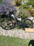 CANYON Spectra 125 AL 5 Enduro / Freeride / DH 29" Shimano Deore used For Sale