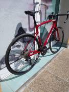 RIDLEY Fenix Carbon,Ultegra 8100 Di2 (M ) ( 0 km AKCIÓS) Road bike Shimano Ultegra Di2 disc brake new with guarantee For Sale