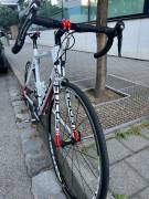 FOCUS Cayo 5.0 Road bike Shimano Ultegra calliper brake used For Sale