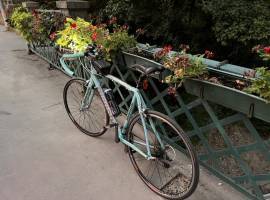 BIANCHI VIA NIRONE 7 CELESTE Road bike Shimano Claris disc brake used For Sale