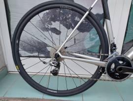 FELT  FR Series Carbon SRAM RED (56) ( Új)   Road bike SRAM Red calliper brake new with guarantee For Sale