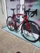 RIDLEY Fenix Carbon,Ultegra 8100 Di2 (M ) ( 0 km AKCIÓS)  Országúti Shimano Ultegra Di2 tárcsafék új / garanciával ELADÓ