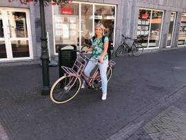 BATAVUS X-Posure Deluxe City / Cruiser / Urban used For Sale