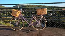 BATAVUS X-Posure Deluxe City / Cruiser / Urban used For Sale
