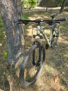 _Other Corelli Opilio 1.2 New Age  Mountain Bike 29" front suspension Shimano Altus used For Sale