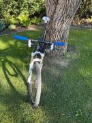 GIANT XTC Comp Mountain Bike 26" front suspension Shimano Deore XT used For Sale