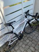 ORBEA Avant Road bike Shimano Sora calliper brake used For Sale