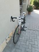 COLNAGO CLX 3 Road bike Campagnolo Chorus calliper brake used For Sale