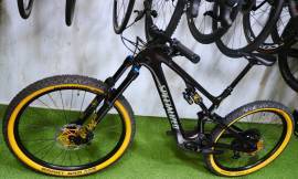 SPECIALIZED TURBO LEVO SL 2 CARBON FOX 36 AXS Electric Mountain Bike dual suspension _Other manufacturer used For Sale