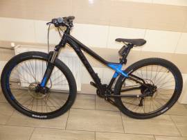 BULLS Sharptail 29