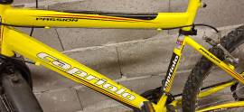 CAPRIOLO Passion Mountain Bike 26" rigid used For Sale