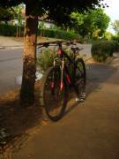 ROCK MACHINE Torrent 30 Mountain Bike 29" elöl teleszkópos Shimano Deore használt ELADÓ