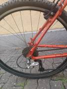 FOCUS Cariboo Peak Trekking/cross V-brake used For Sale