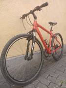 FOCUS Cariboo Peak Trekking/cross V-brake used For Sale
