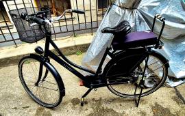 _Other Altec Roma City / Cruiser / Urban used For Sale