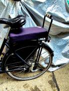 _Other Altec Roma City / Cruiser / Urban used For Sale
