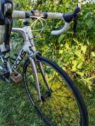 FOCUS Izalco Országúti Shimano Ultegra patkófék használt ELADÓ