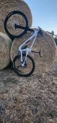 CUBE Stereo one55 race  Enduro / Freeride / DH 29" SRAM GX Eagle new / not used For Sale