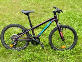 ORBEA MX Dirt 20