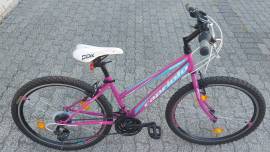 CAPRIOLO Passion Lady Mountain Bike 26" rigid Shimano Tourney used For Sale