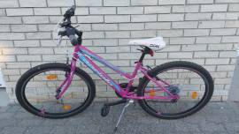 CAPRIOLO Passion Lady Mountain Bike 26" rigid Shimano Tourney used For Sale