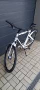 _Other Cortina Blau City / Cruiser / Urban disc brake used For Sale