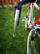MOSER 51.151 Országúti Campagnolo Record használt ELADÓ
