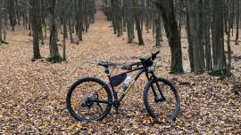 CANNONDALE Trail SL2 Mountain Bike 29" front suspension Shimano Deore used For Sale