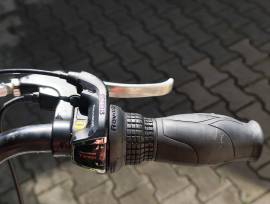 NEUZER Lido Electric Trekking/cross 25 km/h Mxus used For Sale