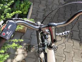 NEUZER Lido Electric Trekking/cross 25 km/h Mxus used For Sale