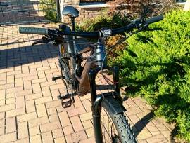 ORBEA WILD 29