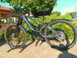 ORBEA WILD 29