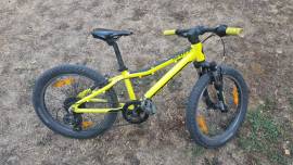 SCOTT Scale Kids Bikes / Children Bikes used For Sale
