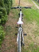 CUBE 240 Team Girl Series Kids Bikes / Children Bikes used For Sale