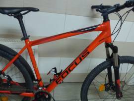 FOCUS Whistler 29