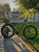 SCOTT Roxter Mountain Bike 24" rigid Shimano Alivio used For Sale
