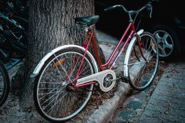 _EGYÉB Női városi kerékpár JB Custom Cyclamen Flower Városi / Cruiser kontra új / garanciával ELADÓ