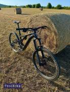 SPECIALIZED 29