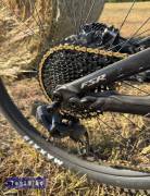 SPECIALIZED 29