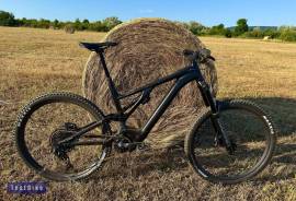 SPECIALIZED 29